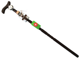 Walking Stick with Bell and Bottle II