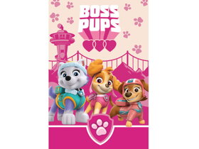 Kids Blanket Paw Patrol Boss Pups