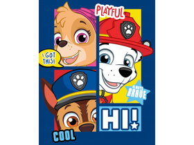 Blue Paw Patrol Kids Blanket
