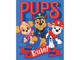 Paw Patrol Kids Blanket