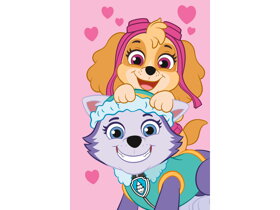 Pink Kids Blanket Paw Patrol Skye and Everest