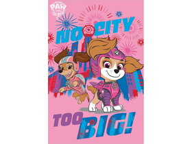 Pink Paw Patrol City Kids Blanket
