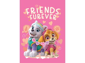 Kids Blanket Paw Patrol Skye and Everest