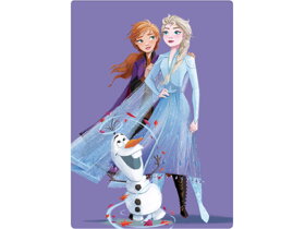 Purple Kids Blanket Frozen II