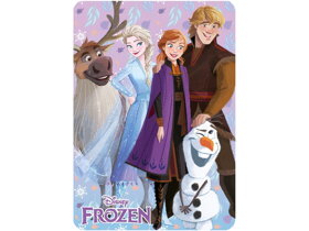 Kids Blanket Frozen Winter Friends