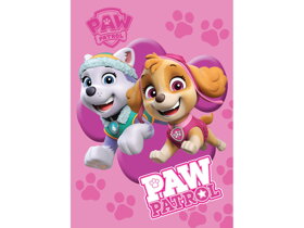 Pink Blanket Paw Patrol Skye and Everest