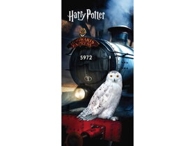 Beach Towel Harry Potter