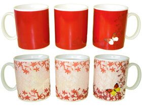 Magic Mug with Flowers and a Butterfly