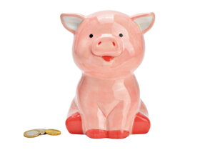 Pink Ceramic Pig Money Box