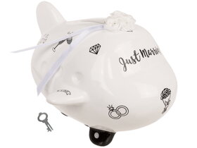 Wedding Airplane Money Box