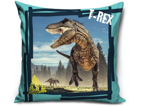 Kids Dinosaurs Pillow II