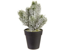 Snow-Covered Christmas Tree in a Pot