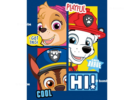 Blue Paw Patrol Kids Blanket