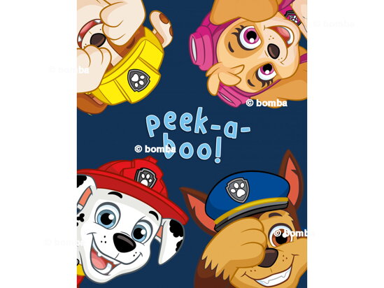 Paw Patrol II Kids Blanket