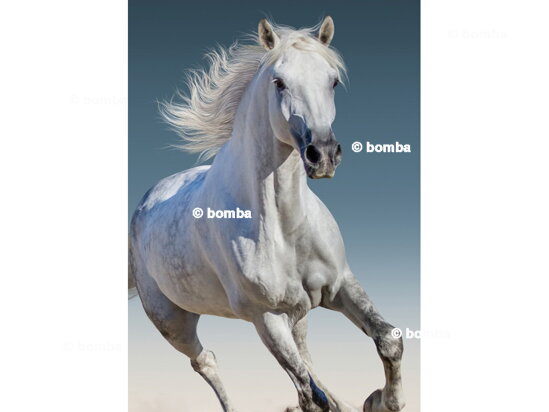 Kids Blanket White Horse