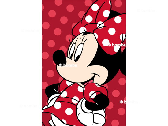 Disney Minnie Mouse Kids Blanket