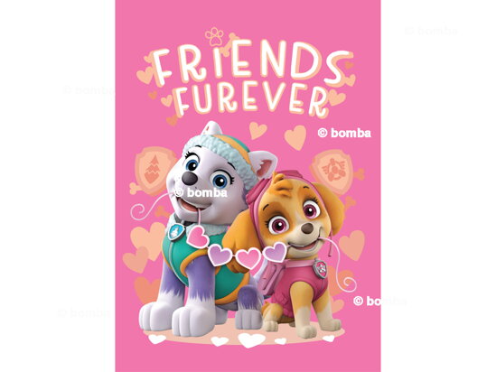 Kids Blanket Paw Patrol Skye and Everest
