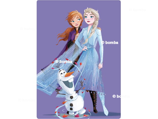 Purple Kids Blanket Frozen II
