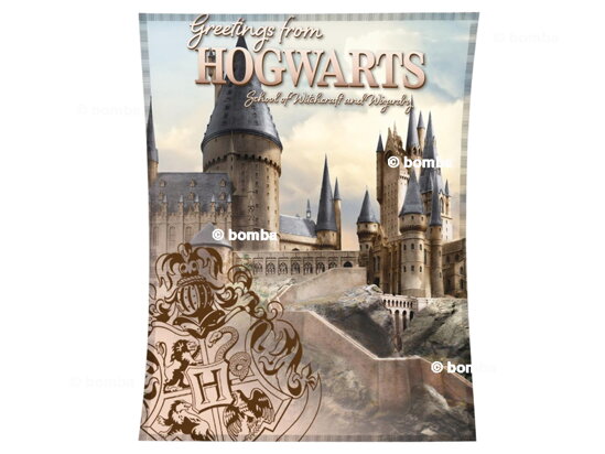 Kids Blanket Harry Potter Hogwarts