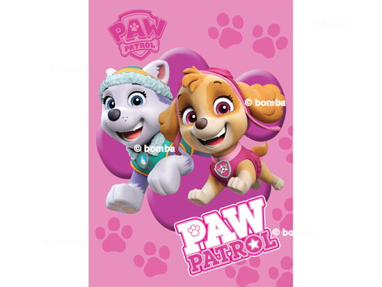 Pink Blanket Paw Patrol Skye and Everest