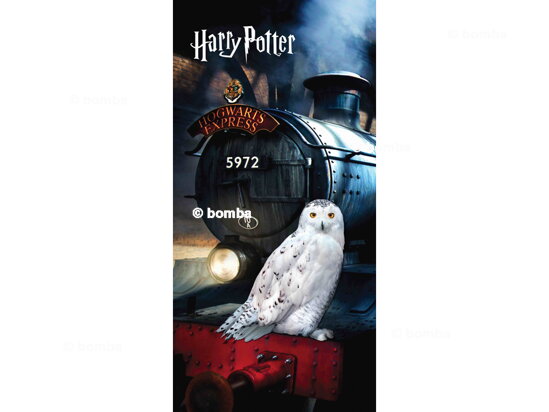 Beach Towel Harry Potter