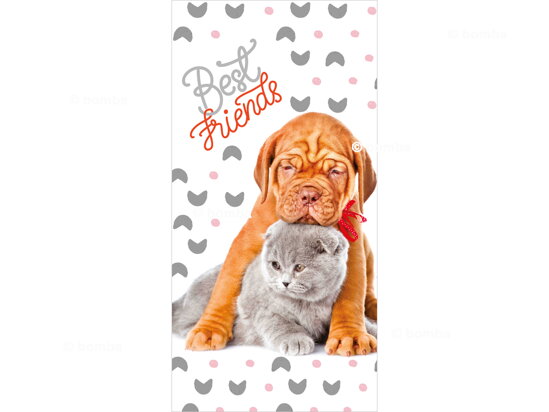 Kids Beach Towel Best Friends II