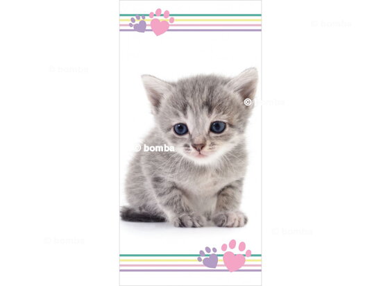 Kids Beach Towel Kitten