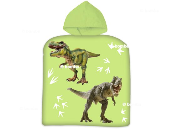 Kids Poncho Dinosaurs