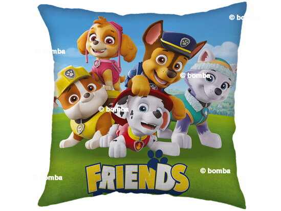 Kids Paw Patrol Friends Pillow
