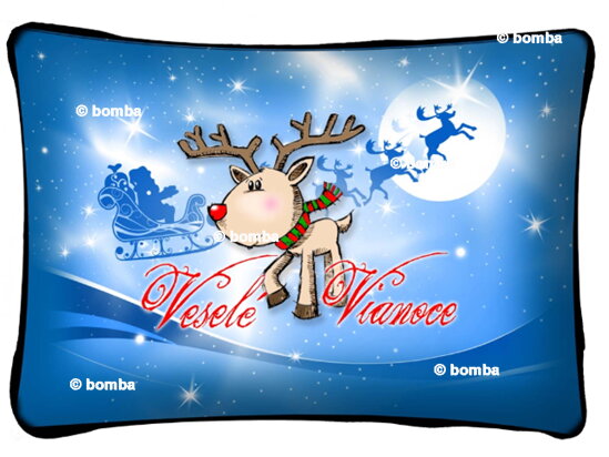 Christmas pillow with reindeer SK